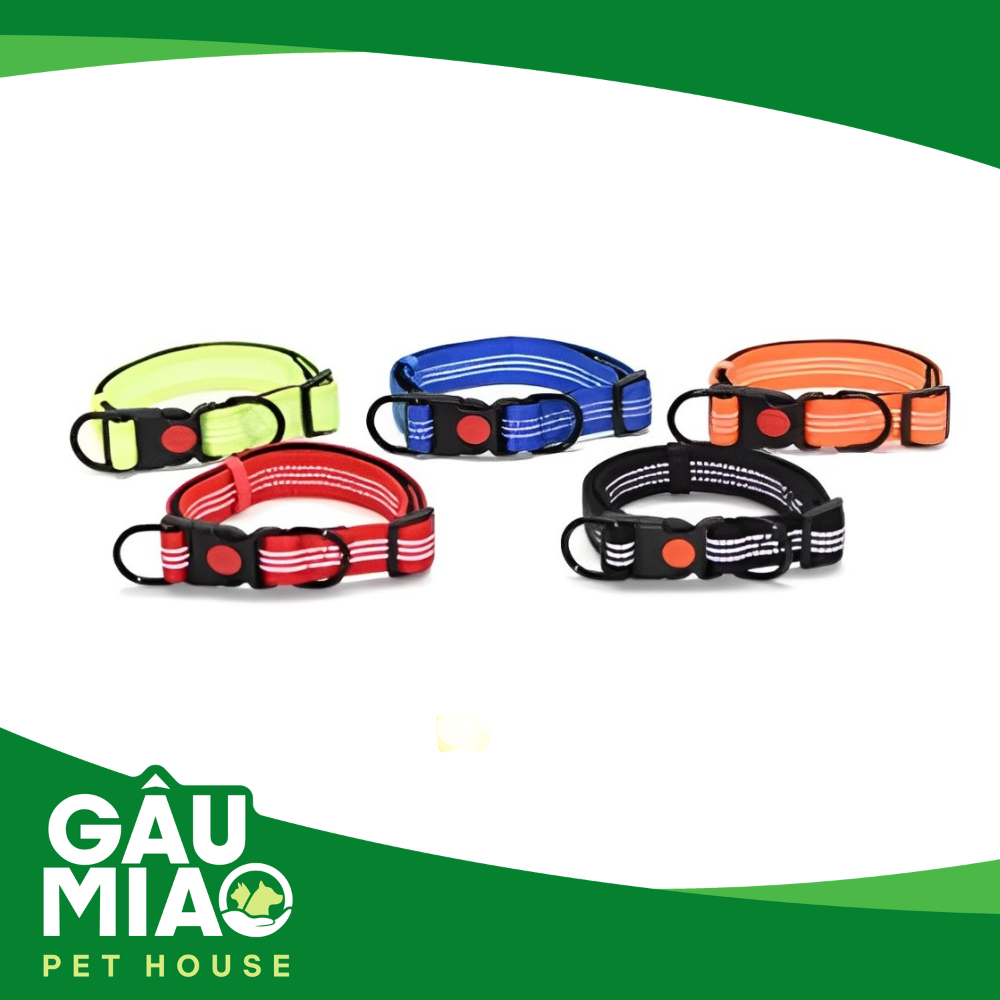 Vòng cổ màu phản quang 2.5cm ZC2826