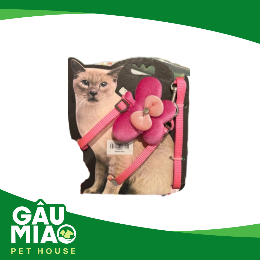 Bộ dây yếm cánh bướm