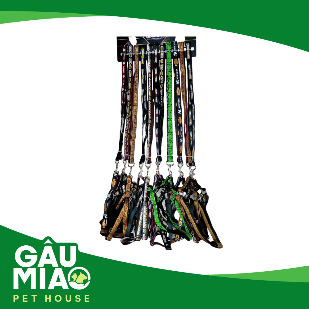 Bộ dây+yếm dắt Luxury s.M-1.5cm