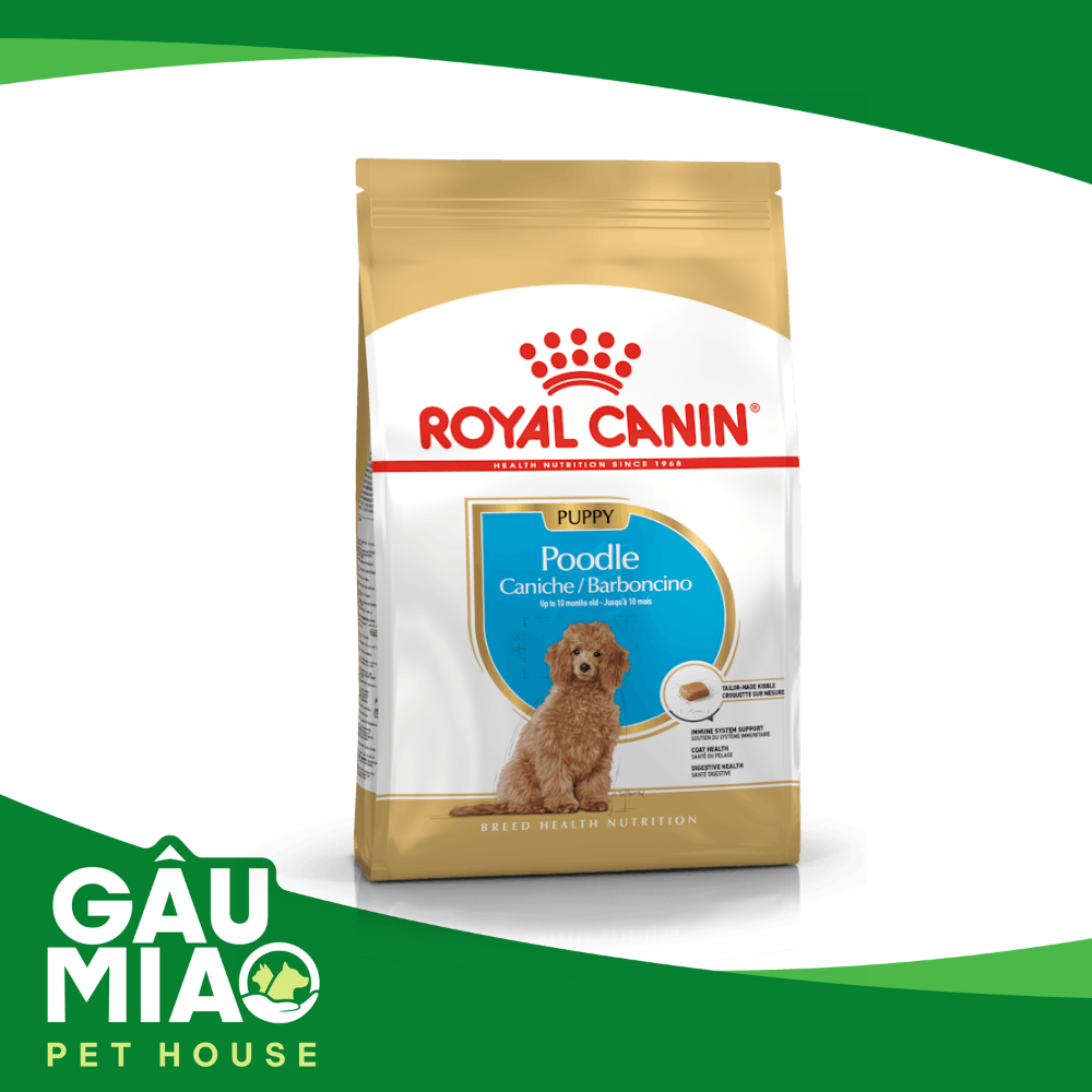 Royal Canin Poodle Puppy