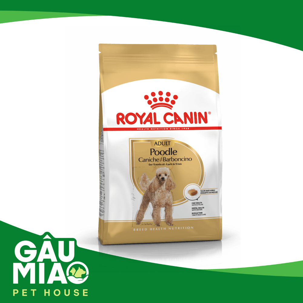 Royal Canin Poodle Adult