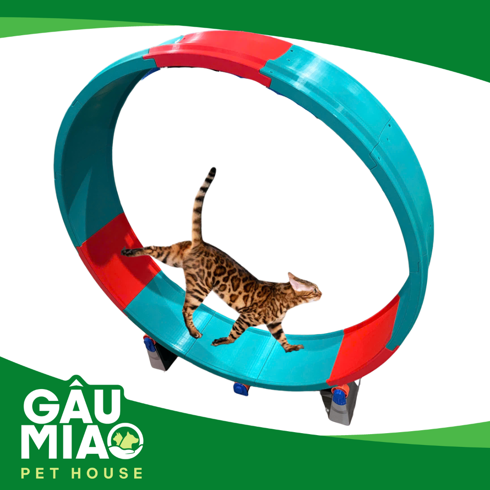 Cat weel-Vòng xoay chạy bộ cho mèo 113*120cm