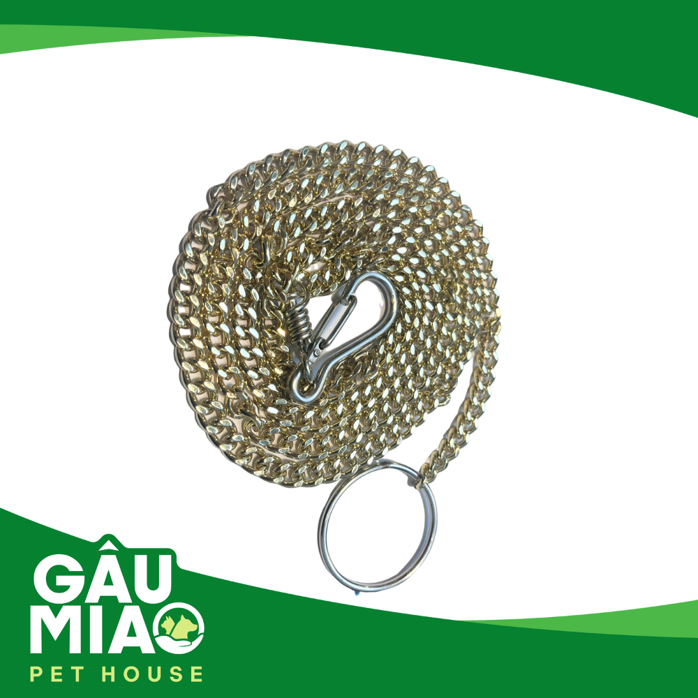 Xích dây chuyền vàng - Trung