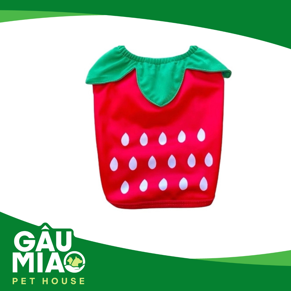 Áo trái cây - Dâu