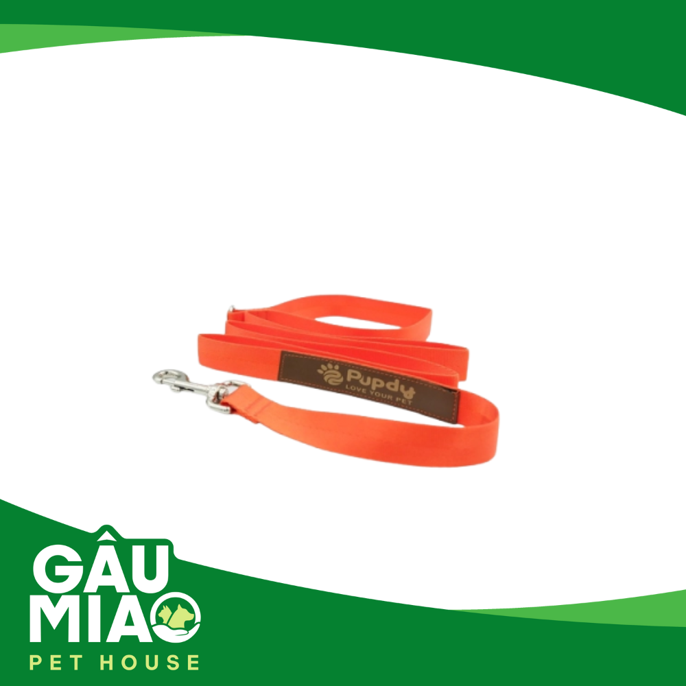 Dây dắt thú cưng - Walkie