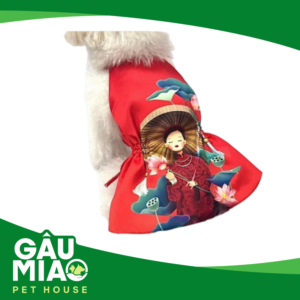 Đầm dây rút cô gái