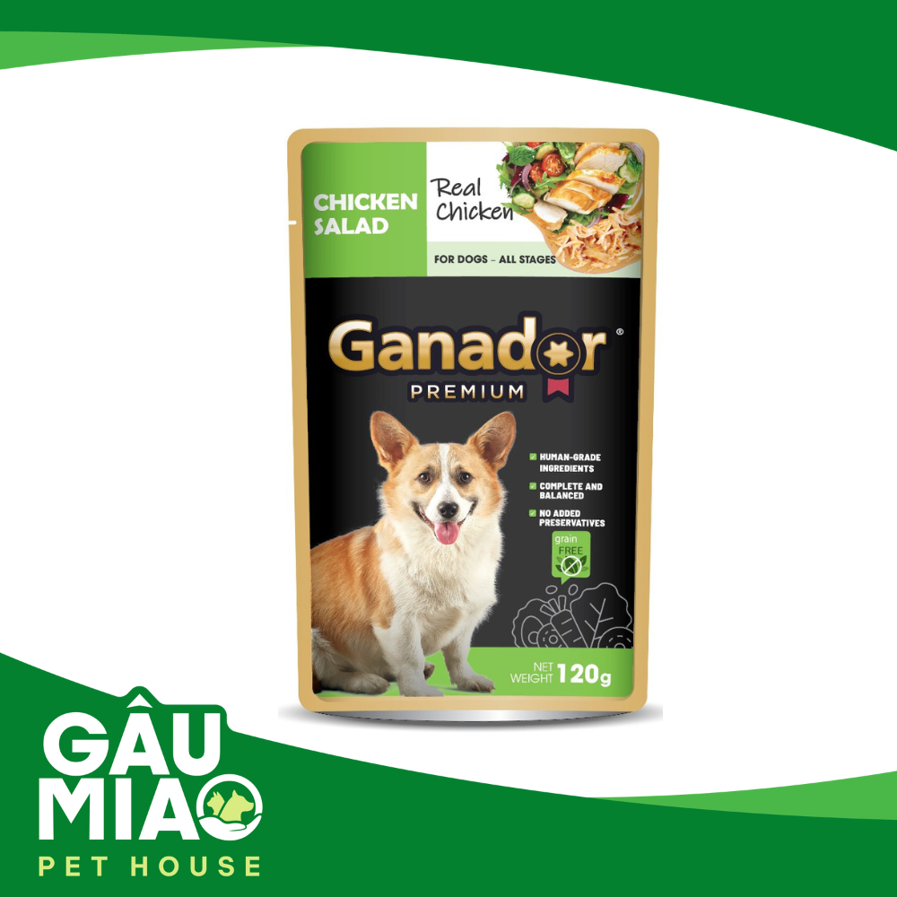 Ganador Premium - Pate cho chó - Salad Gà 120g
