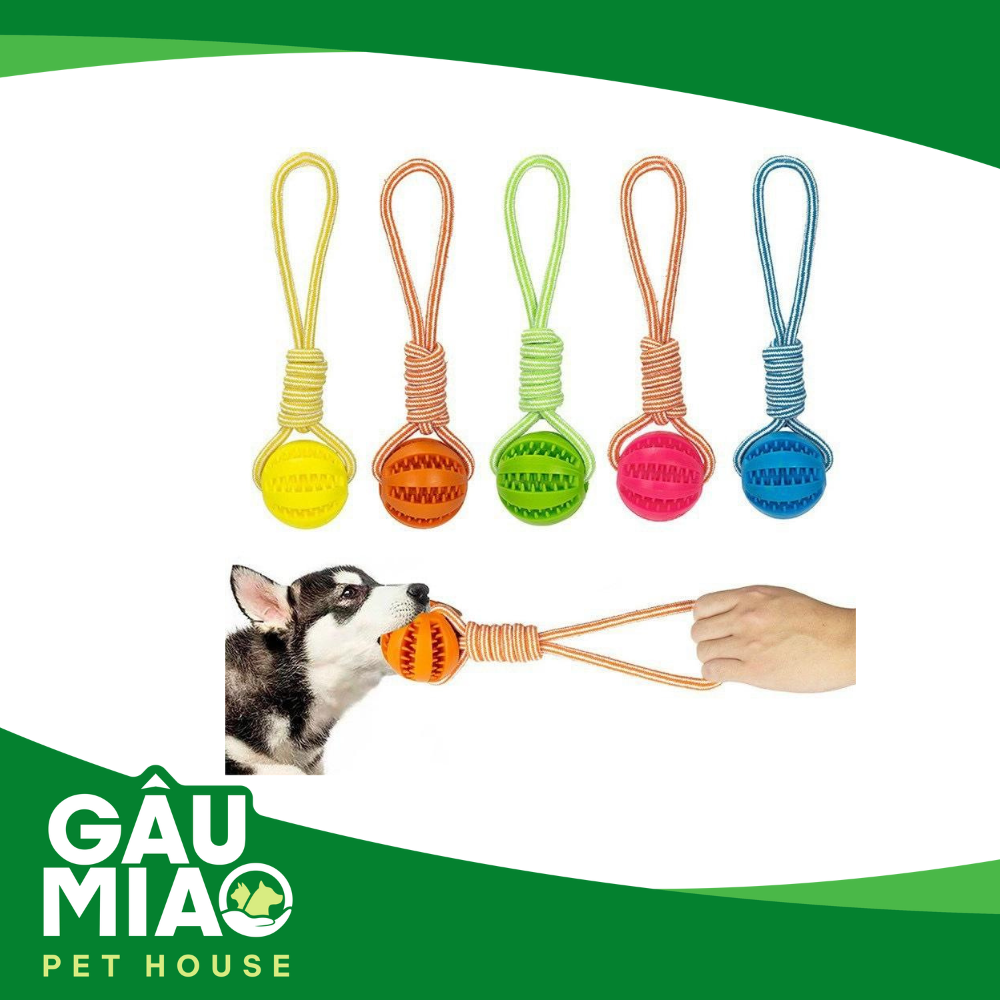 Đồ chơi bóng rò rỉ thức ăn kèm dây thừng