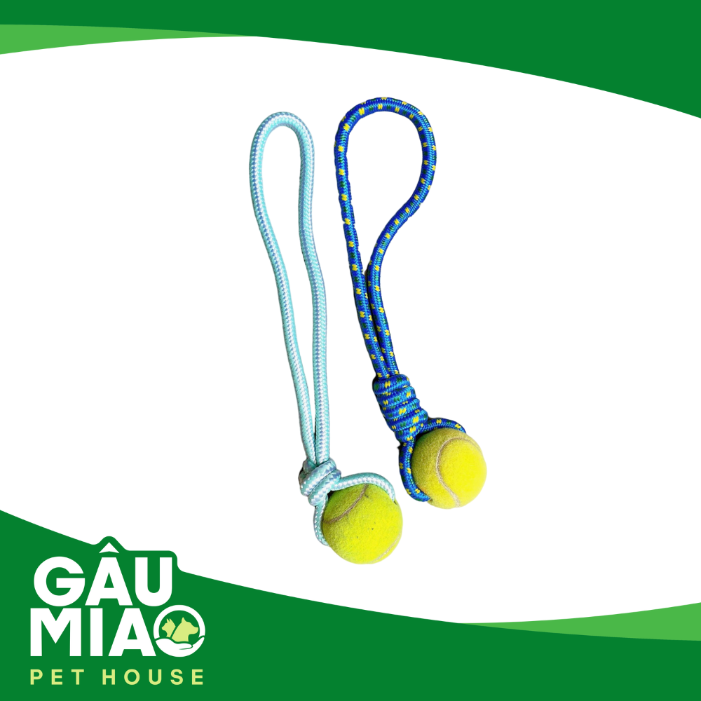 Đồ chơi dây thừng xỏ Banh tennis