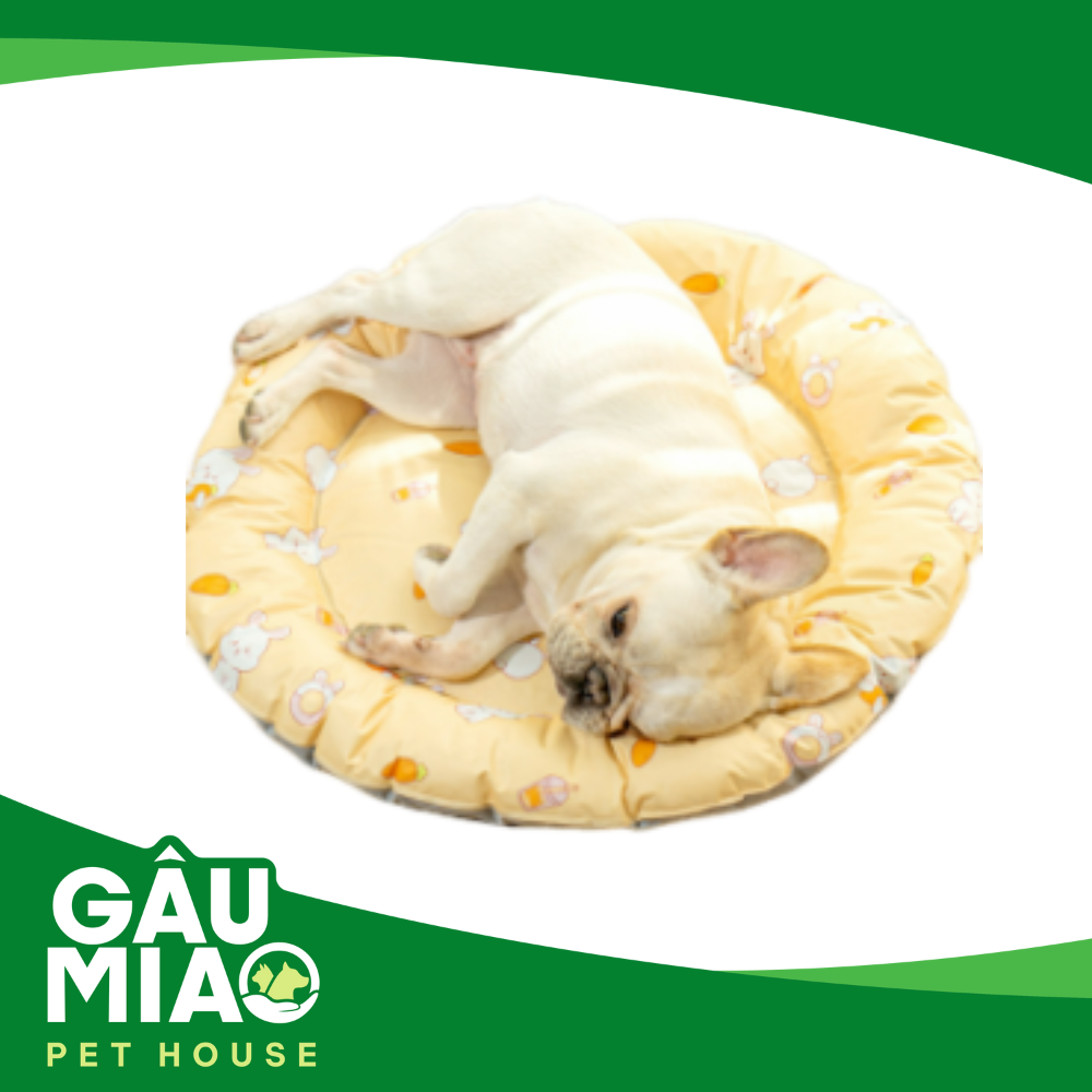 Nệm tròn gel nước làm mát 47cm