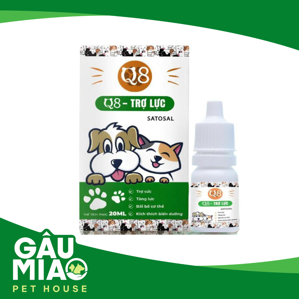 Q8 - Trợ lực 20ml