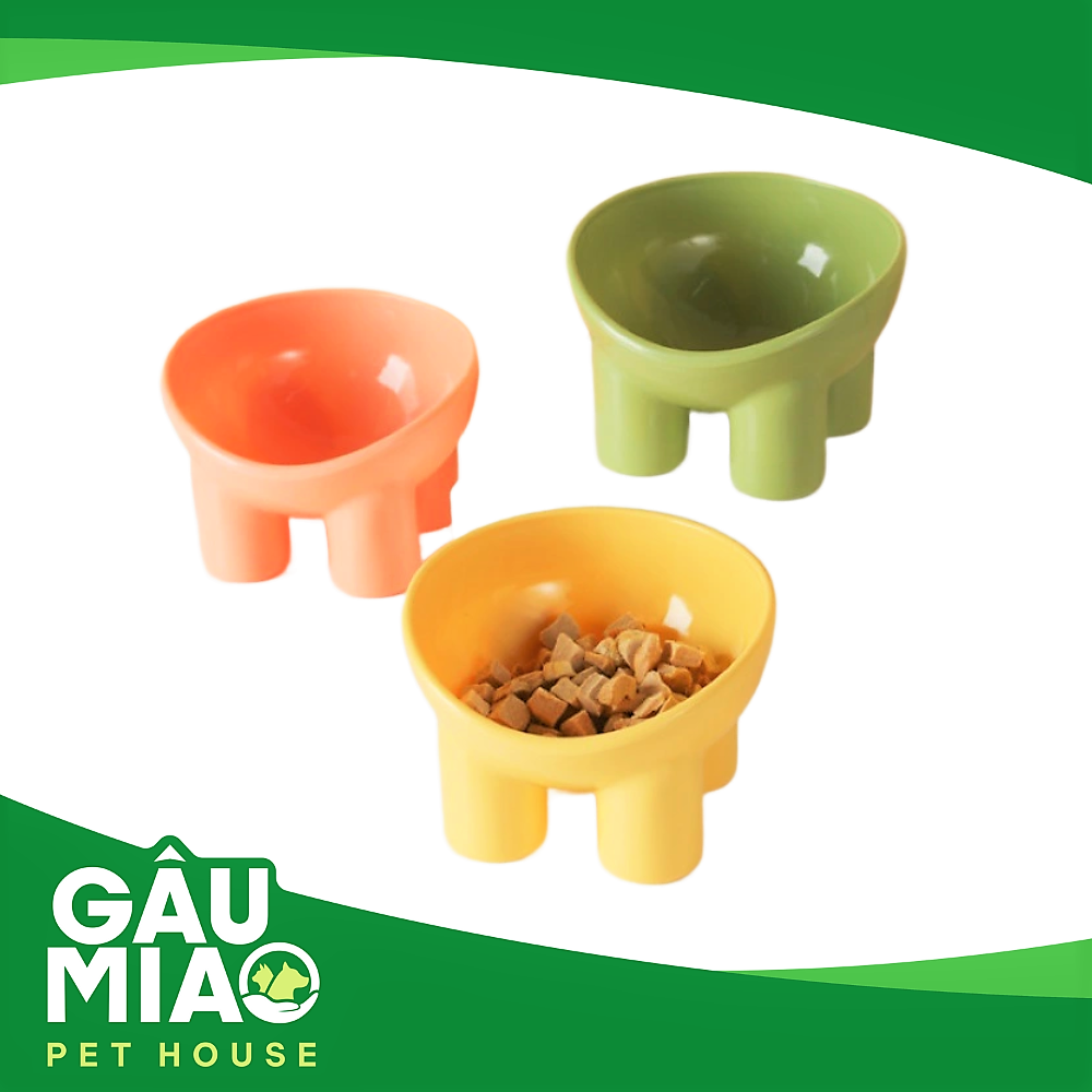 Tô ăn chống gù lưng 4 chân