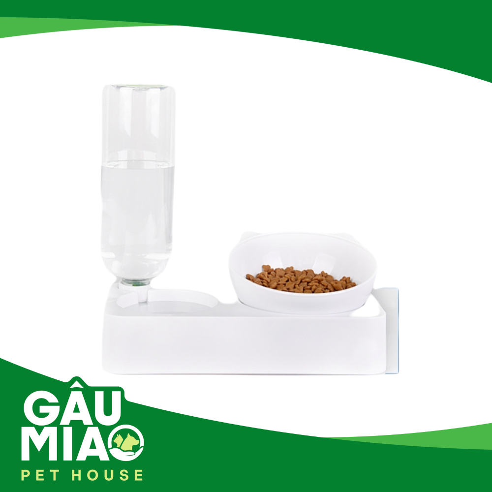 Bộ khay kèm tô tai mèo & bình nước