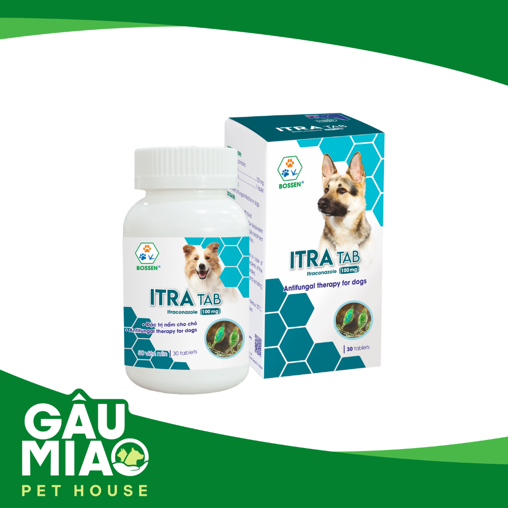 Itra Tab Dog 100mg - Đặc trị nấm cho chó 10-20kg