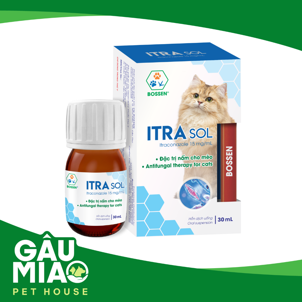 ITRA SOL Cát- Dung dịch uống đặc trị nấm cho mèo 30ml