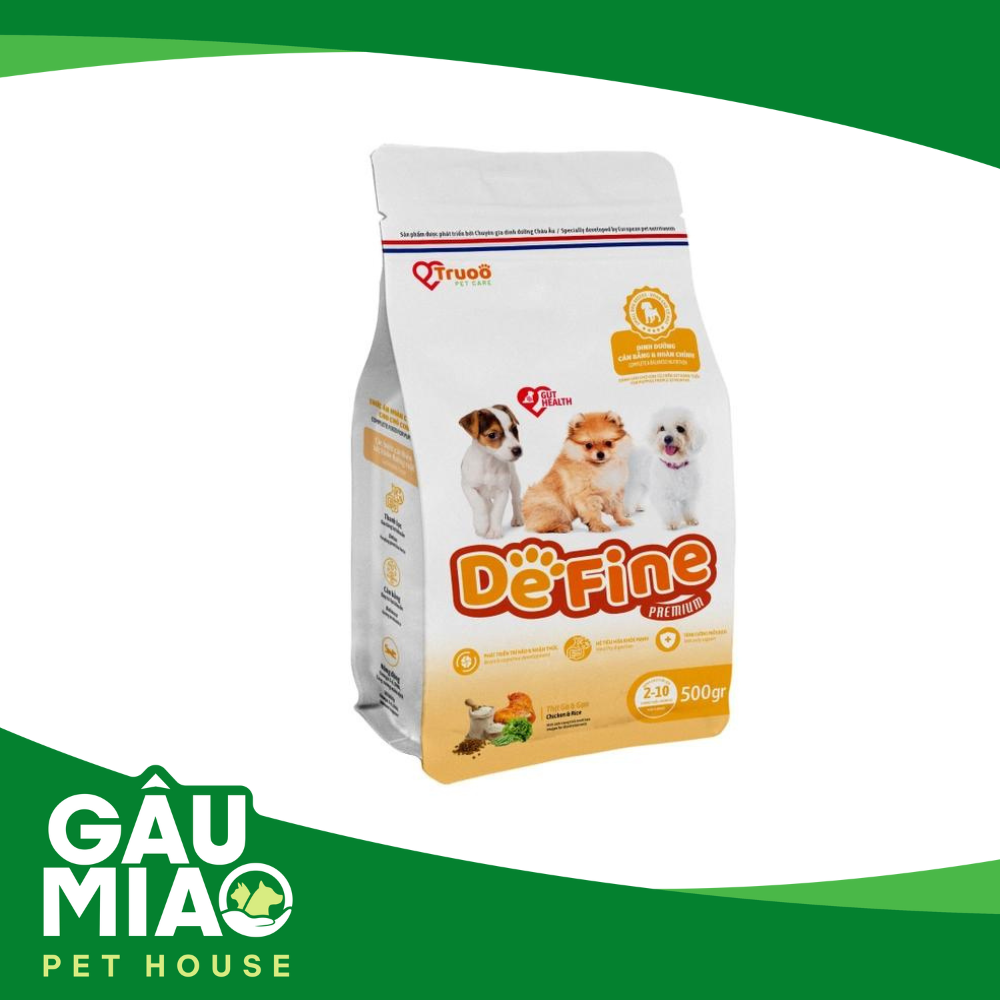 Define Premium Healthy Skin & Coat 500g