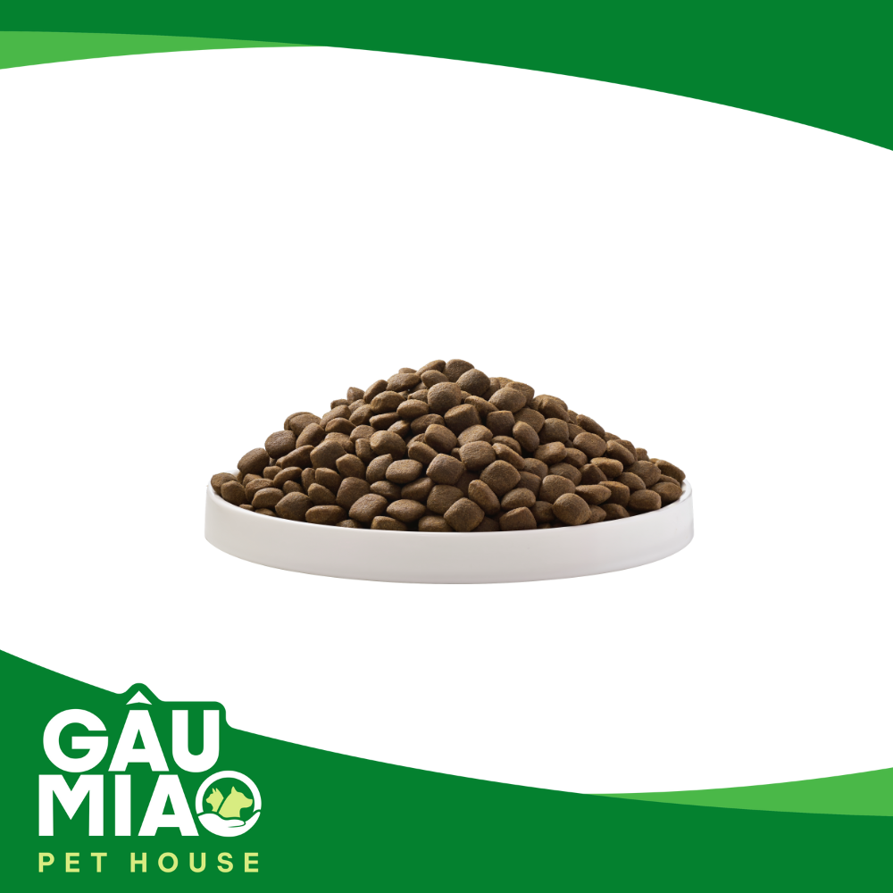 Smartheart Gold Lamb & Rice-Adult -1kg - Thức ăn hạt cho chó trưởng thành giống vừa & lớn vị cừu và gạo