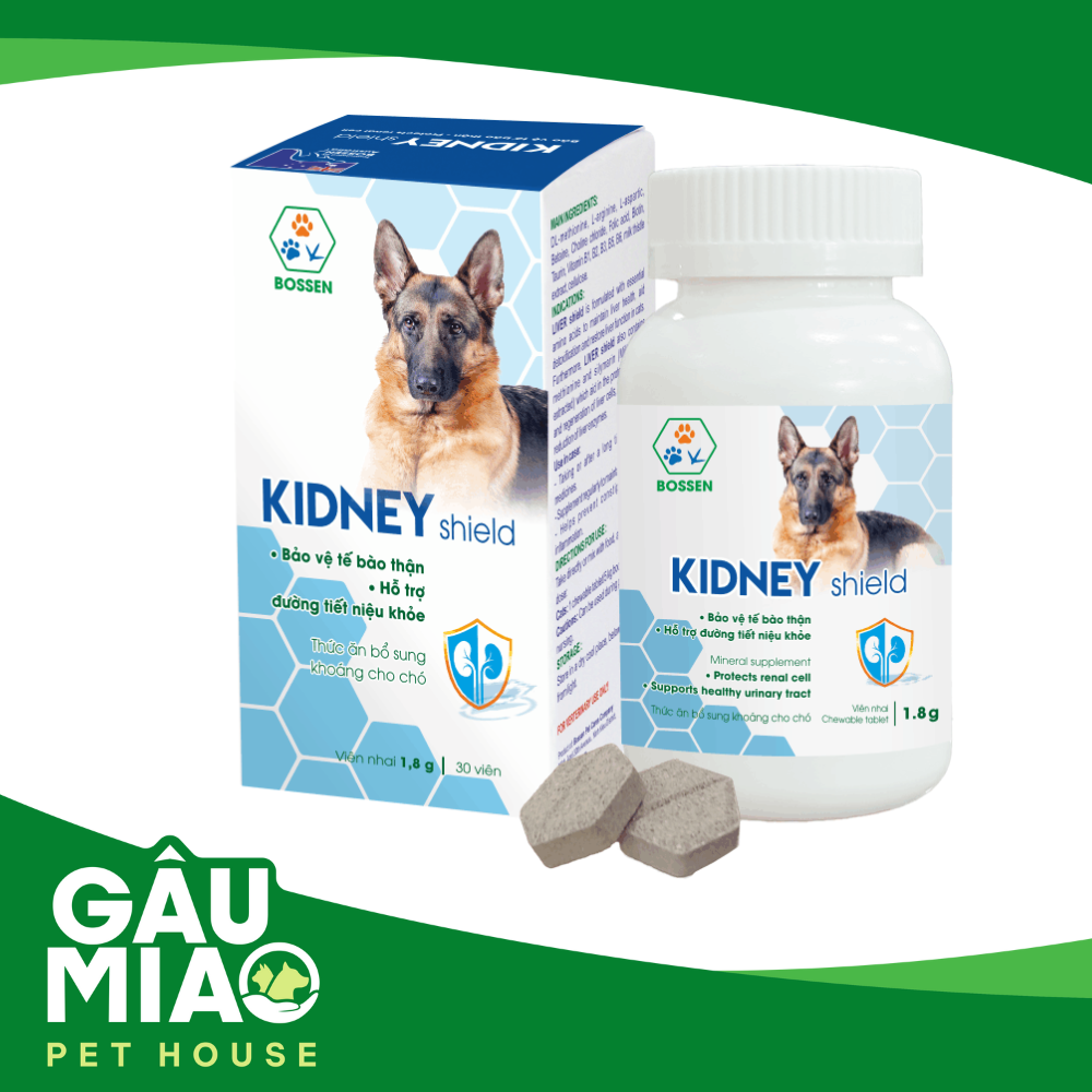 Kindey Shield Dog- Bảo vệ tế bào thận ở chó