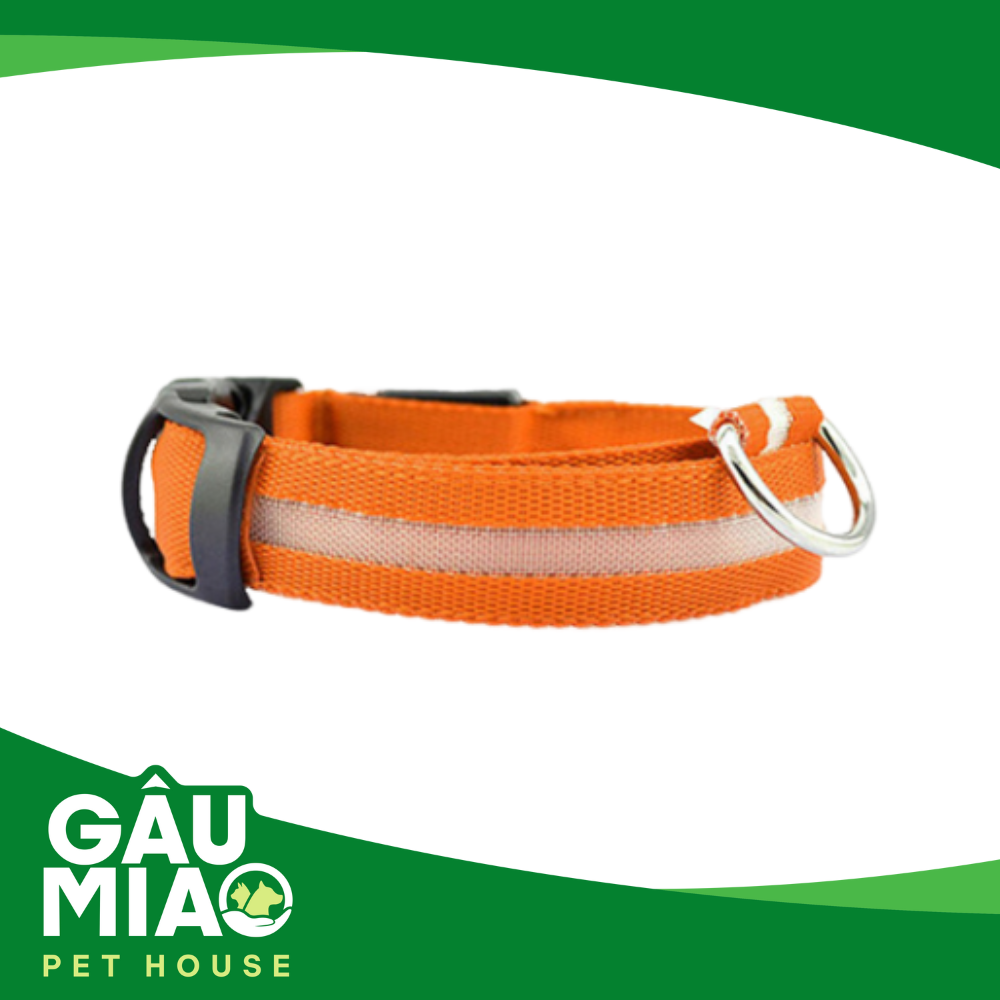Vòng cổ dạ quang có đèn led