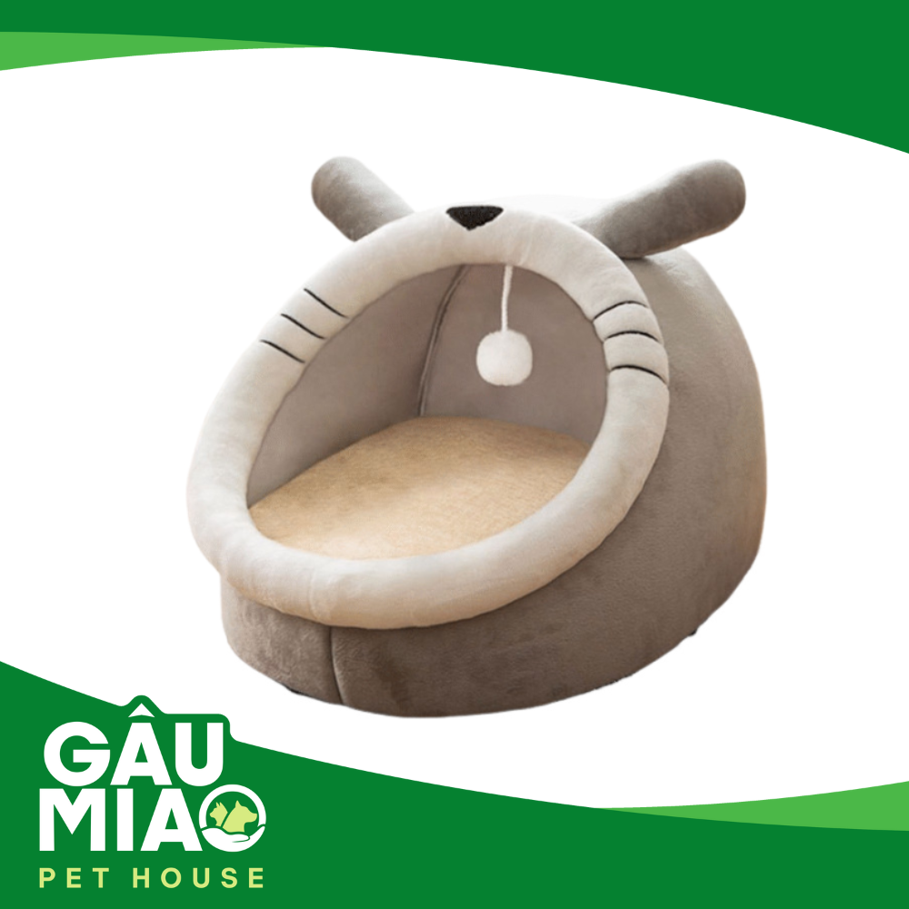 Ổ mèo xám 2010WD10