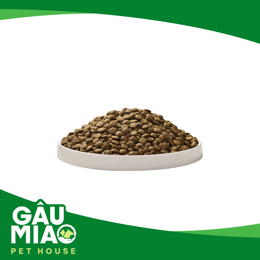 Smartheart Gold Lamb & Rice-Toy & Small Breeds-1kg - Thức ăn hạt cho chó trưởng thành giống nhỏ vị cừu và gạo