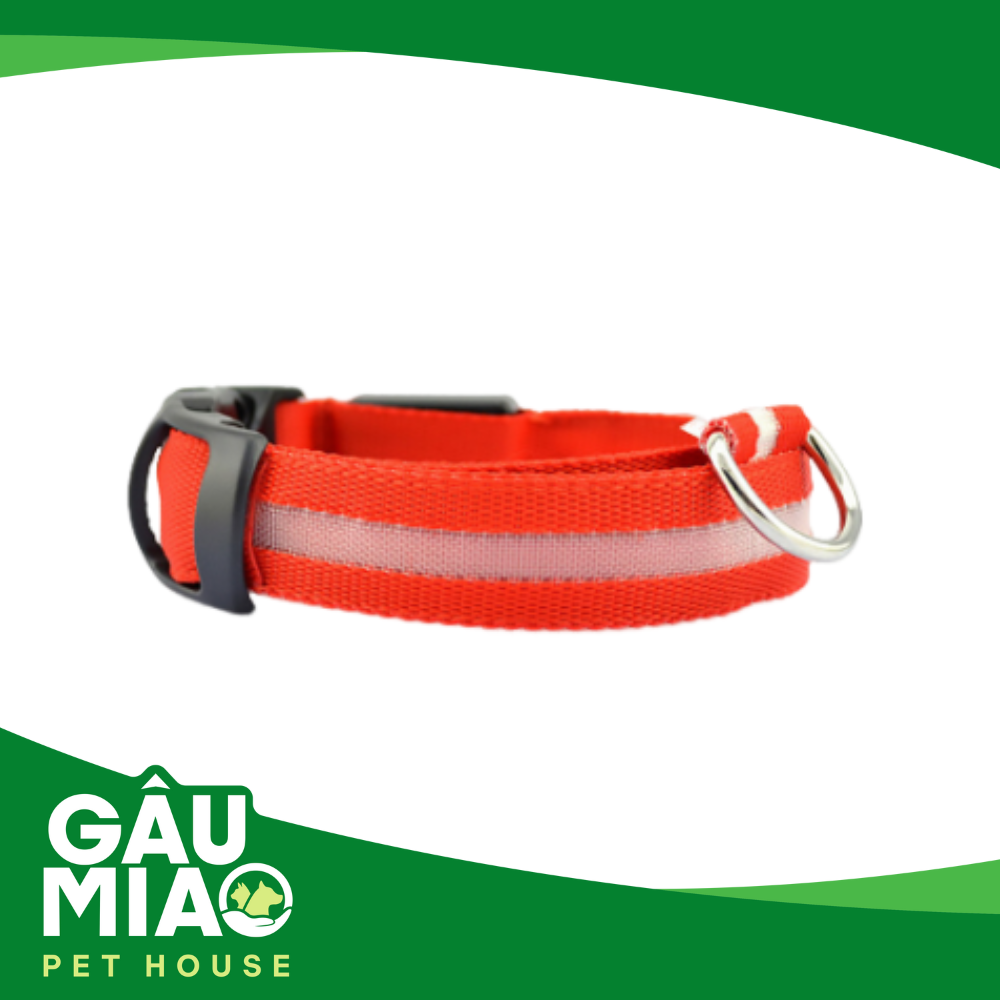 Vòng cổ dạ quang có đèn led