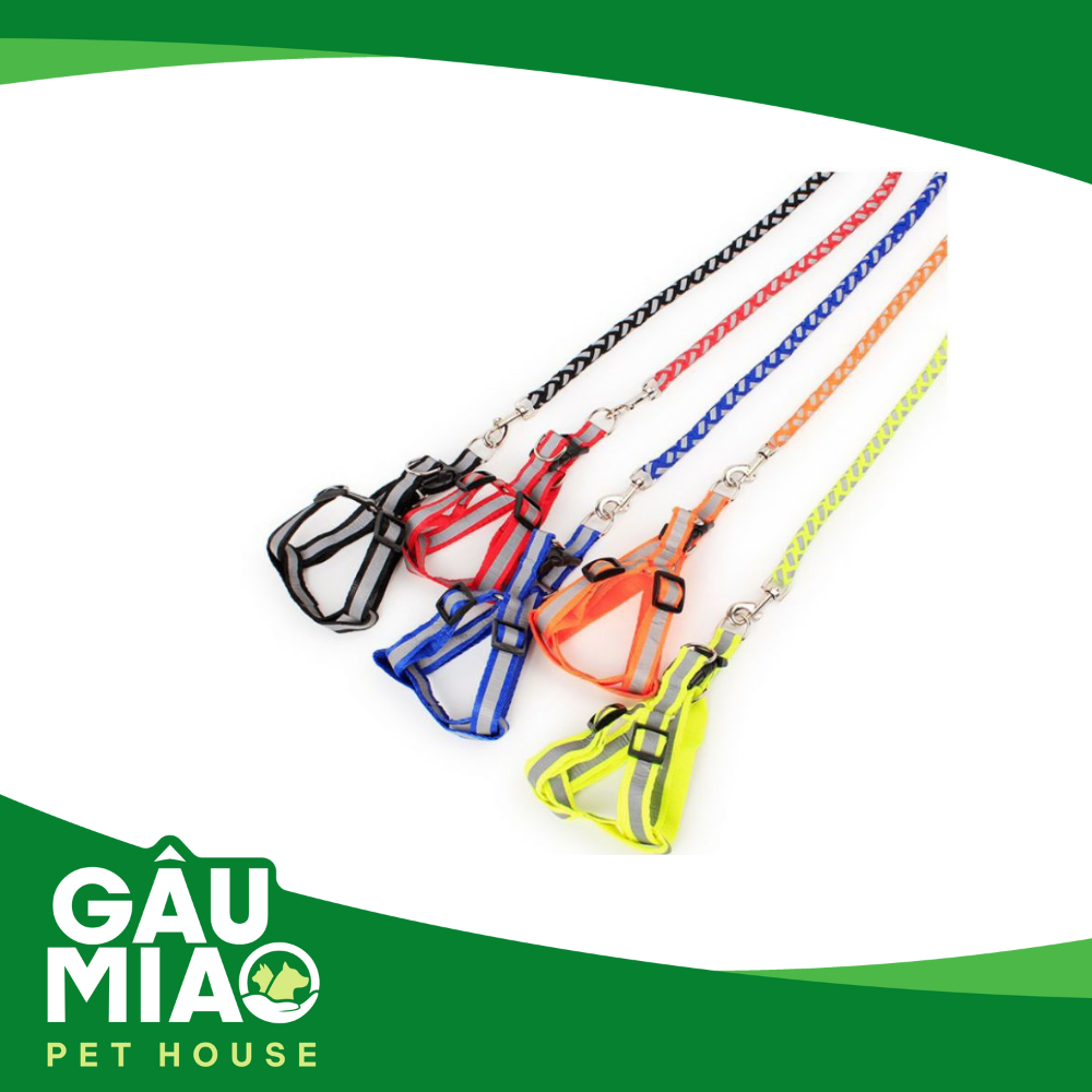 Yếm + Dây dắt phản quang