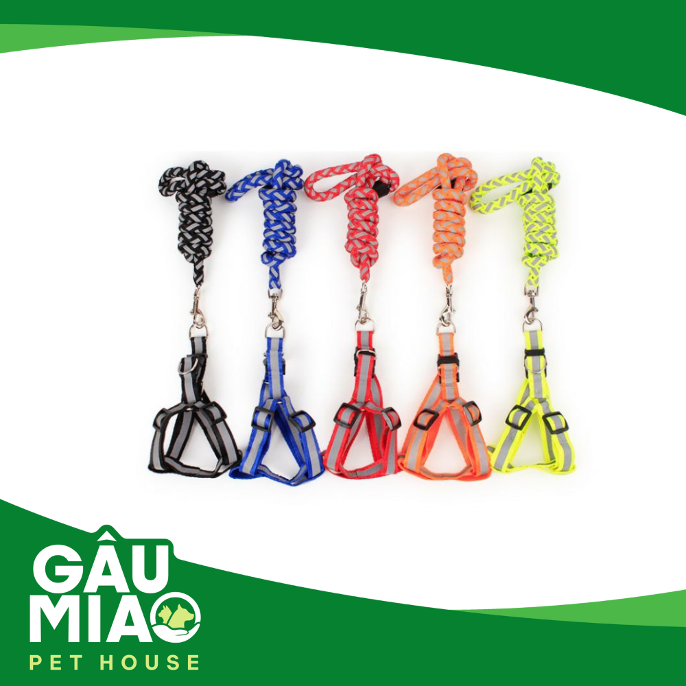 Yếm + Dây dắt phản quang