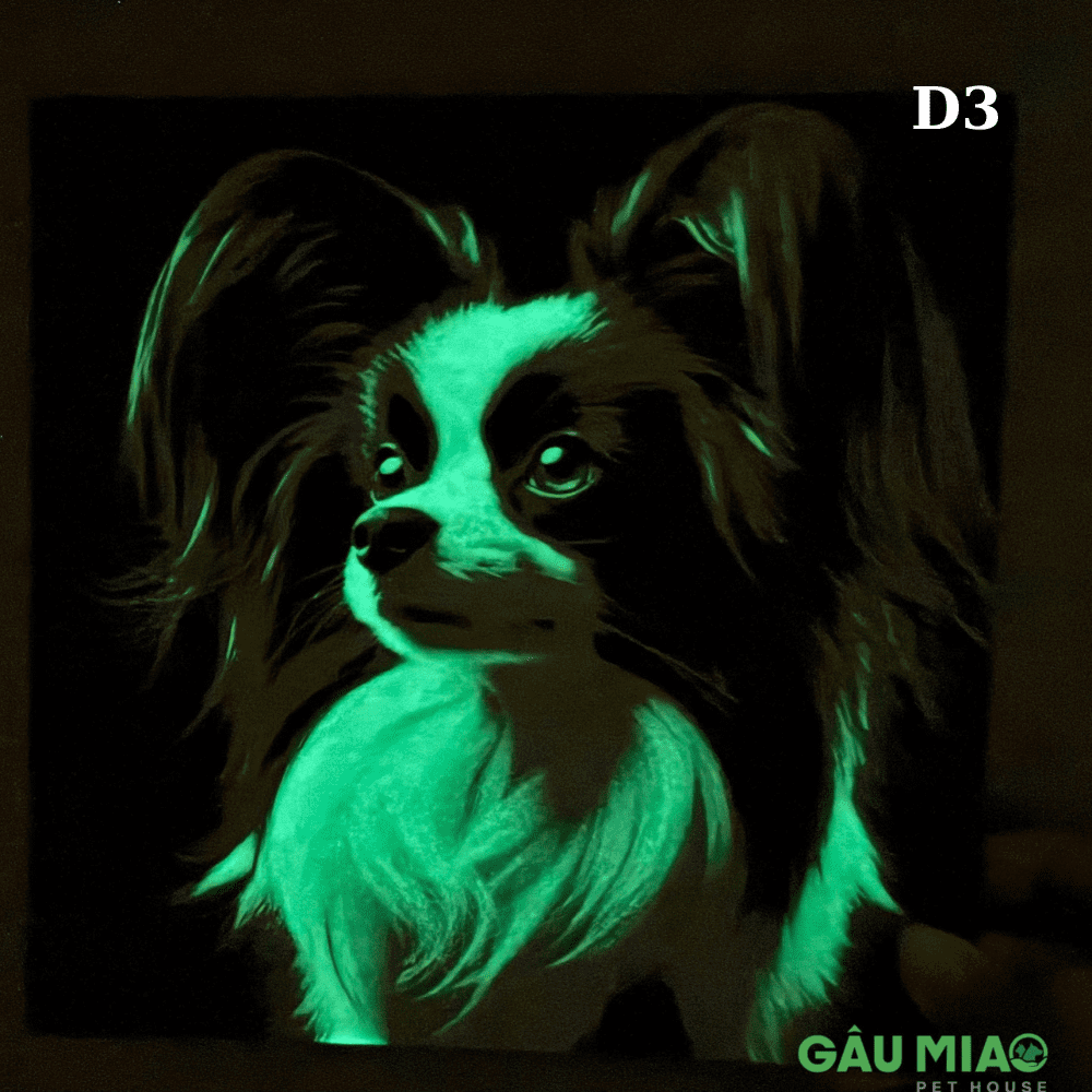 Tranh dạ quang in 3D