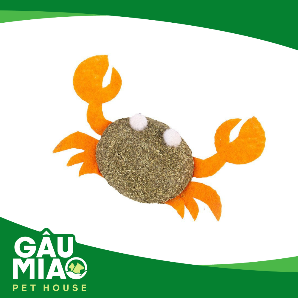 Đồ chơi Catnip cho mèo phê pha