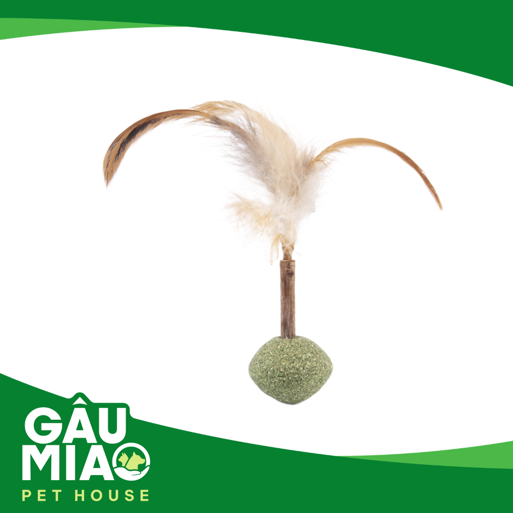 Đồ chơi Catnip cho mèo phê pha
