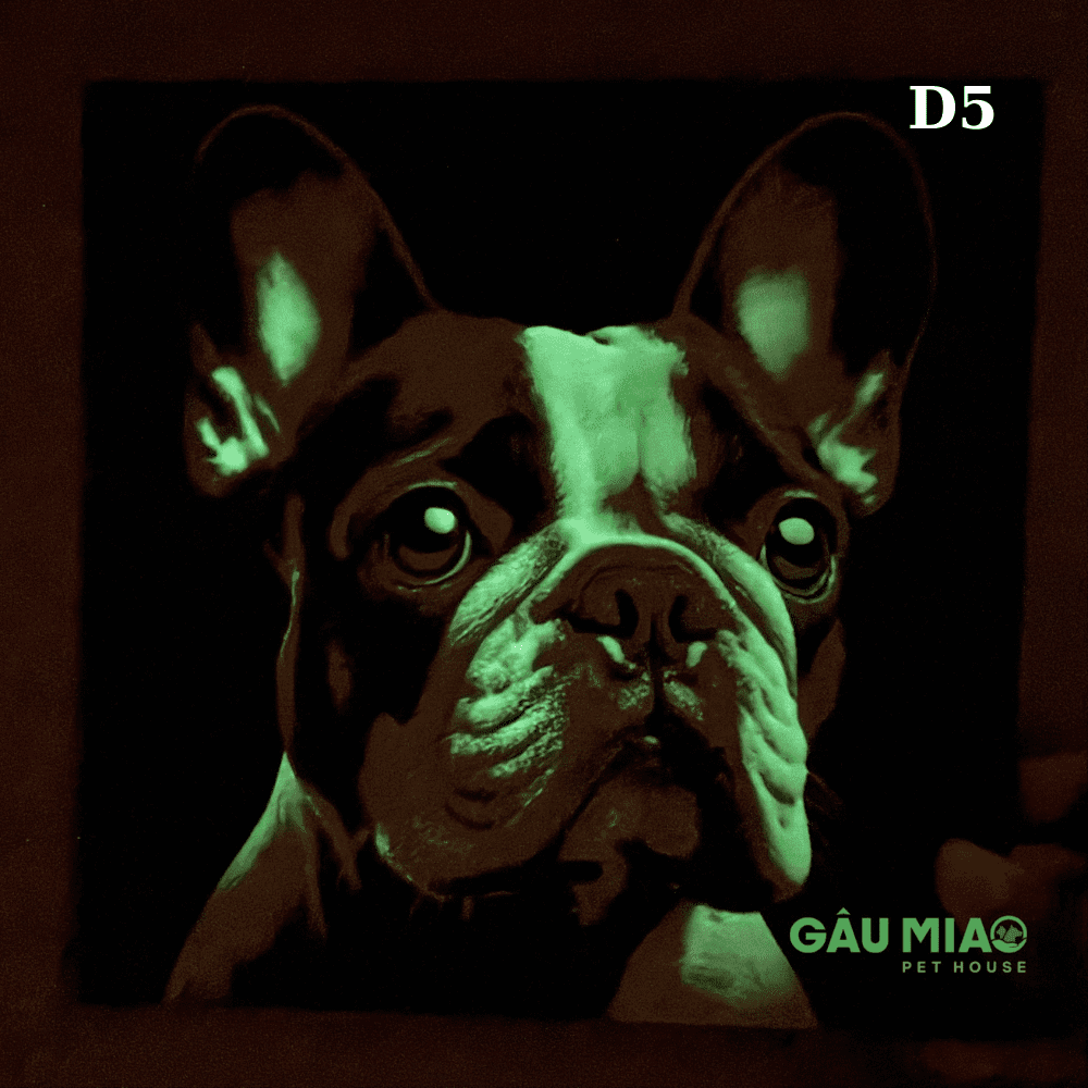 Tranh dạ quang in 3D