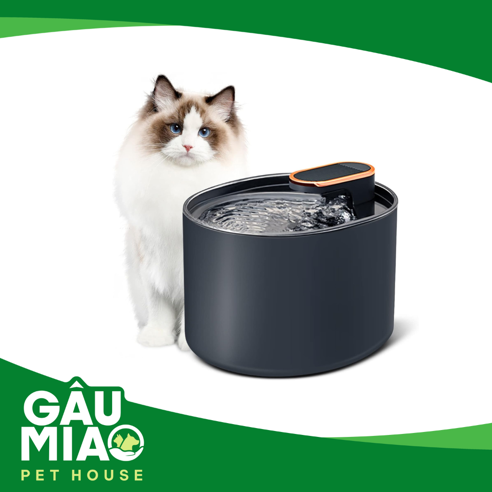 Máy lọc nước tự động 2L