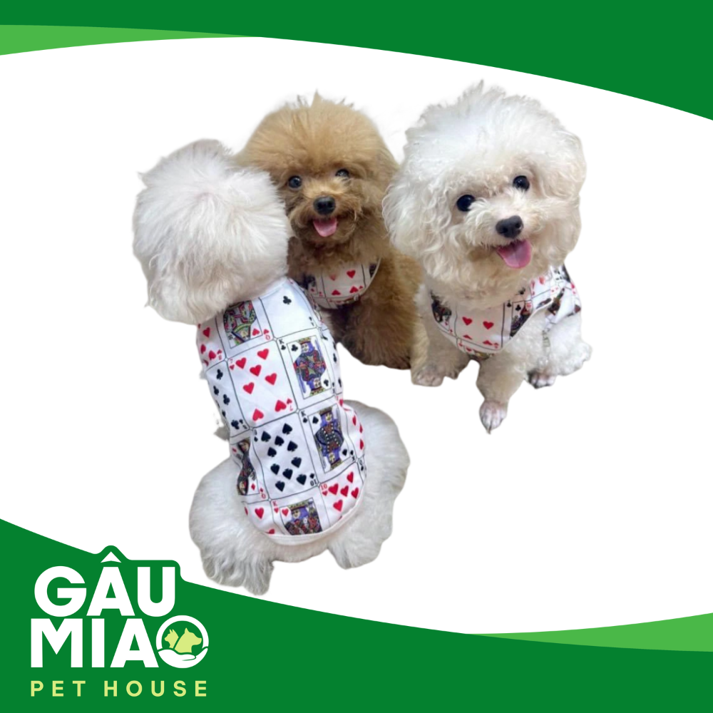 Áo thun sát nách - Hảo hảo