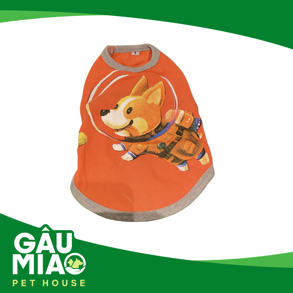 Áo TSN Corgi phi hành gia