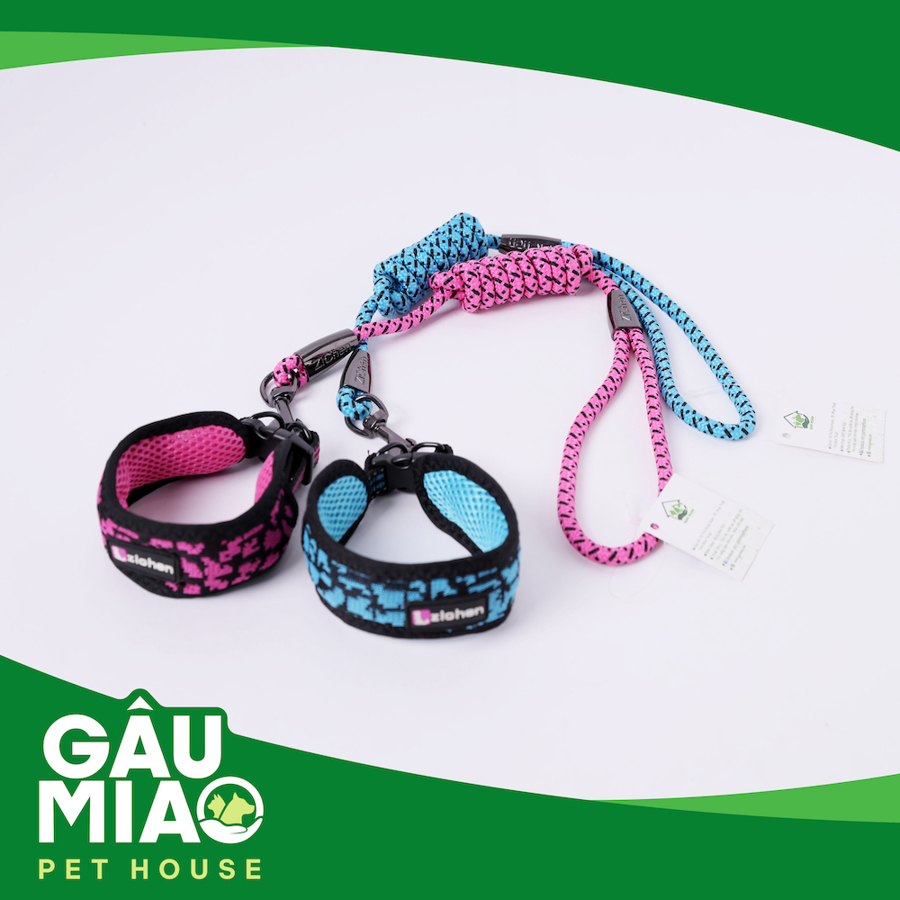 Bộ vòng cổ bản lớn+dây dắt Zichen ZC1768 s.M