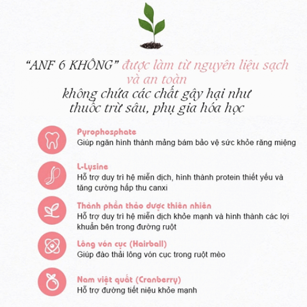 ANF 6 FREE- Natural for indoor Kitten 2kg