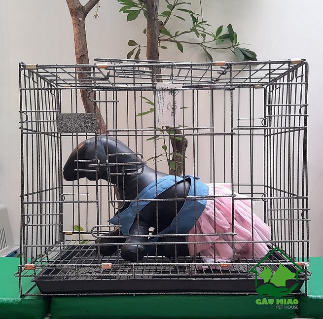 Chuồng sắt SLC s.M 42*60*50