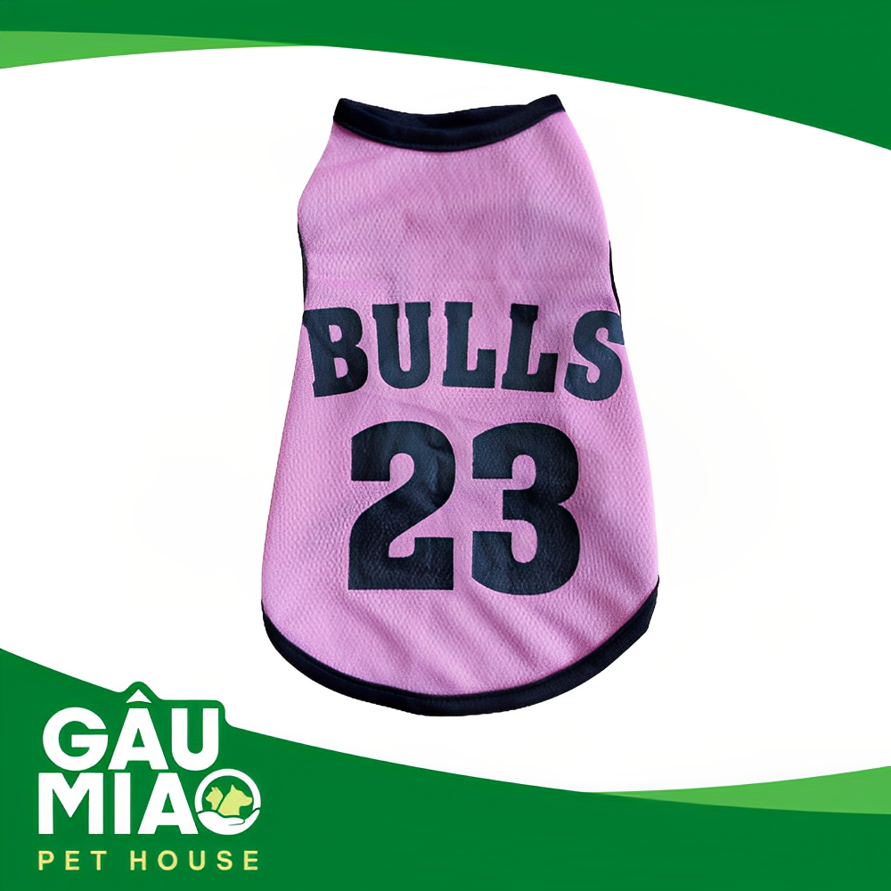 Áo TSN DM - BULLS 23