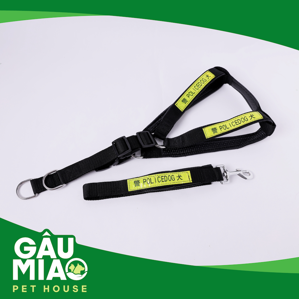 Bộ dây dắt + đai yếm Police