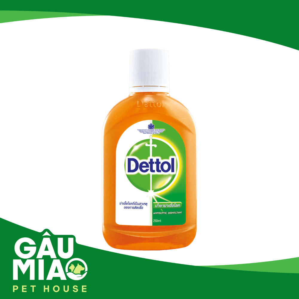 Dung dịch diệt khuẩn và sát trùng Dettol