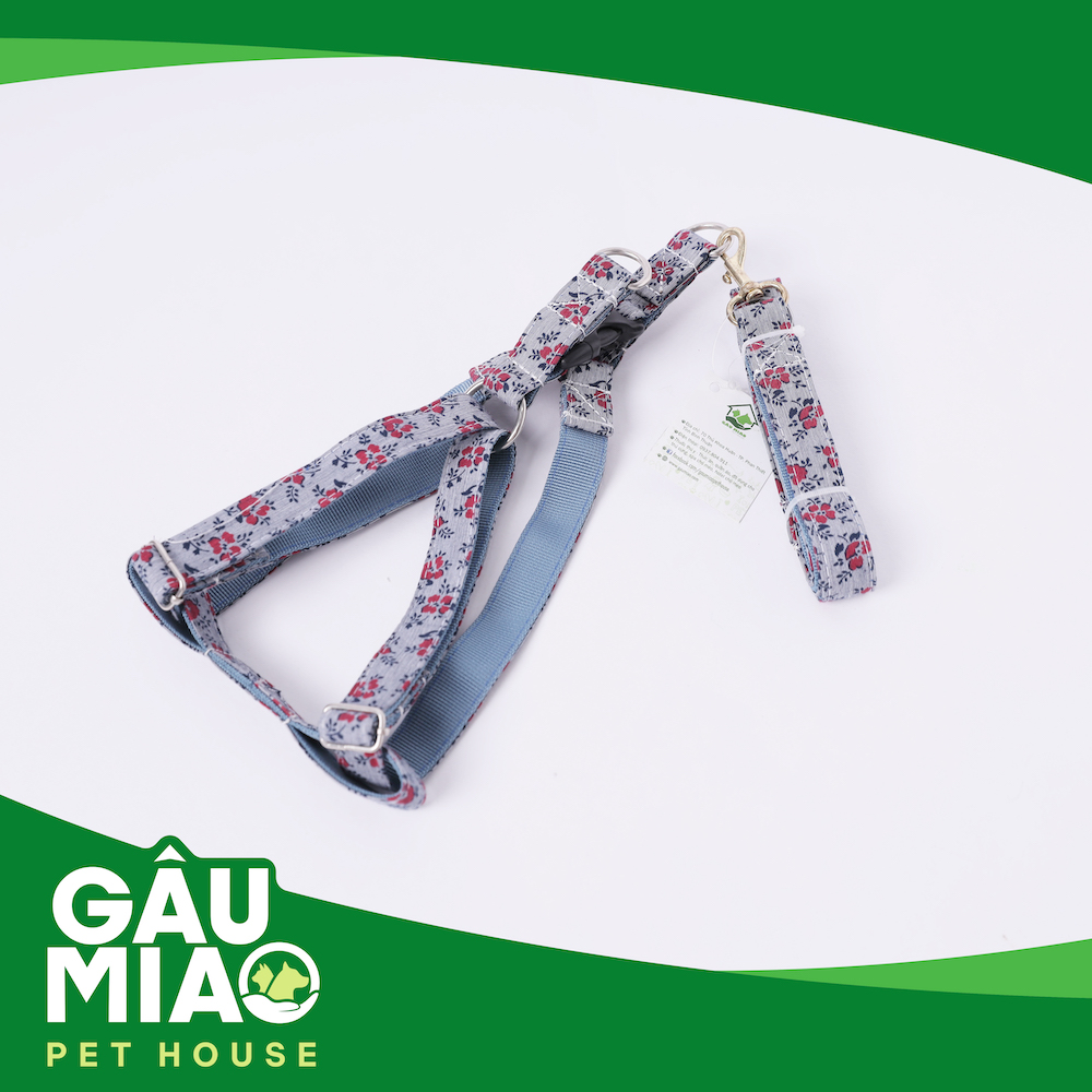 Bộ dây dắt+yếm hình hoa TD227