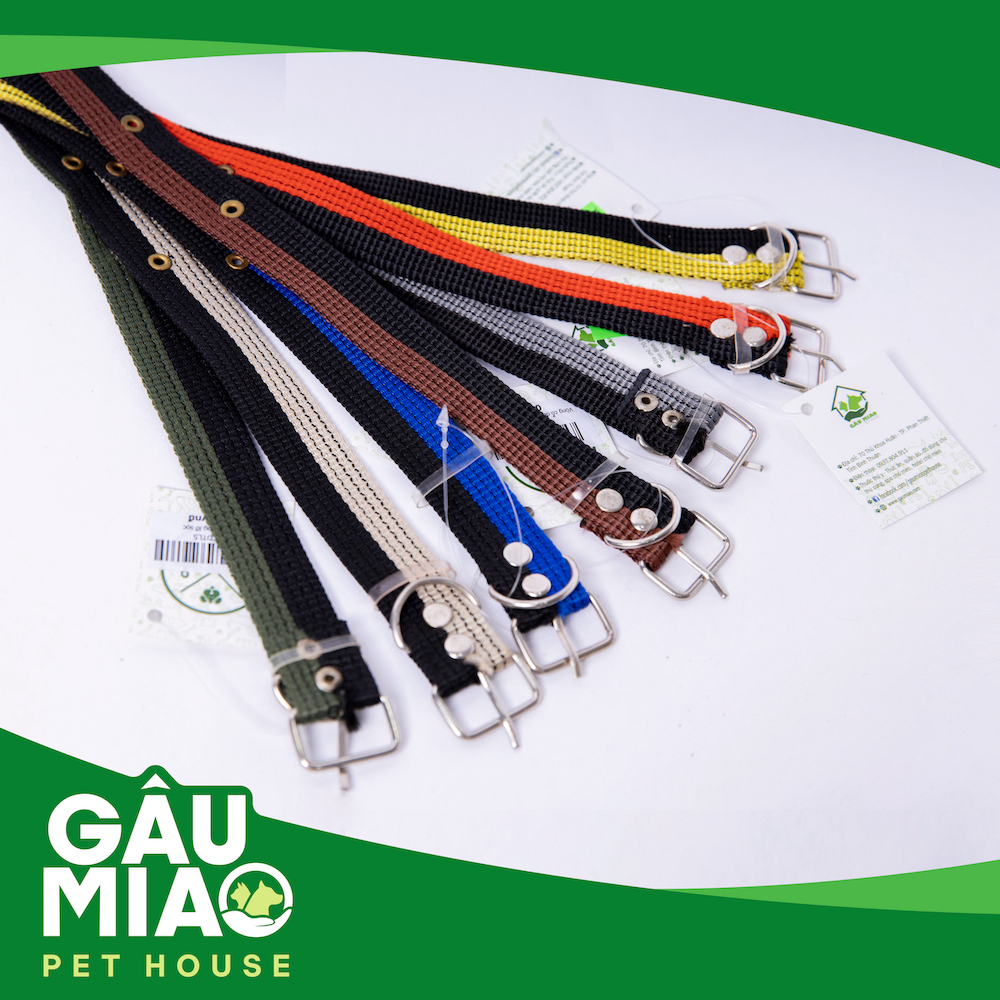 Vòng cổ dù thường lỡ sọc (không chuông)