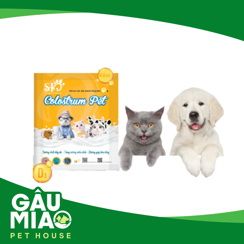 SHD COLOSTRUM PET 100g - Sữa non cao cấp cho thú cưng