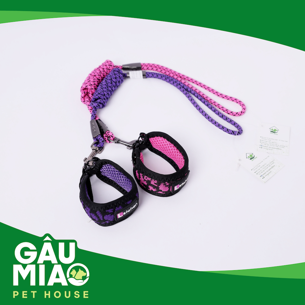 Bộ vòng cổ bản lớn+dây dắt Zichen ZC1751 s.S