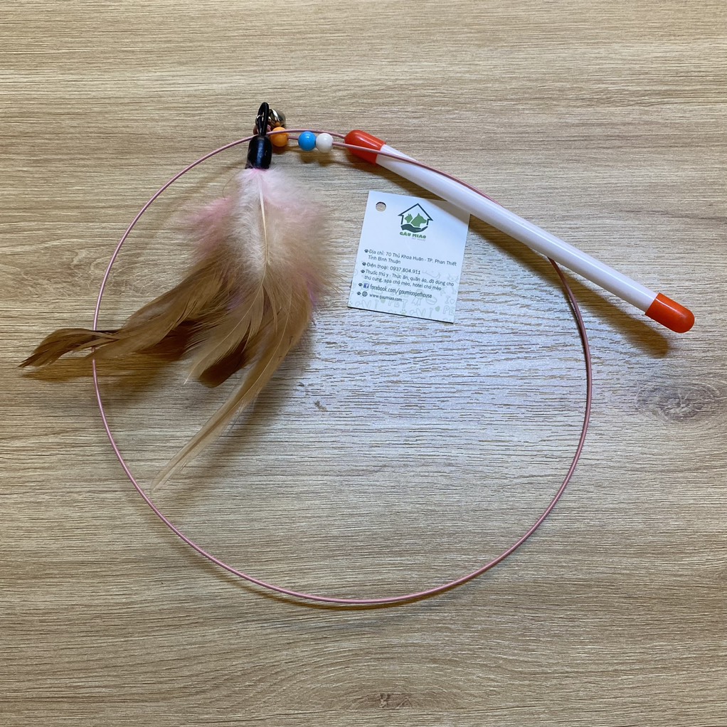 Cần câu mèo thép dẻo