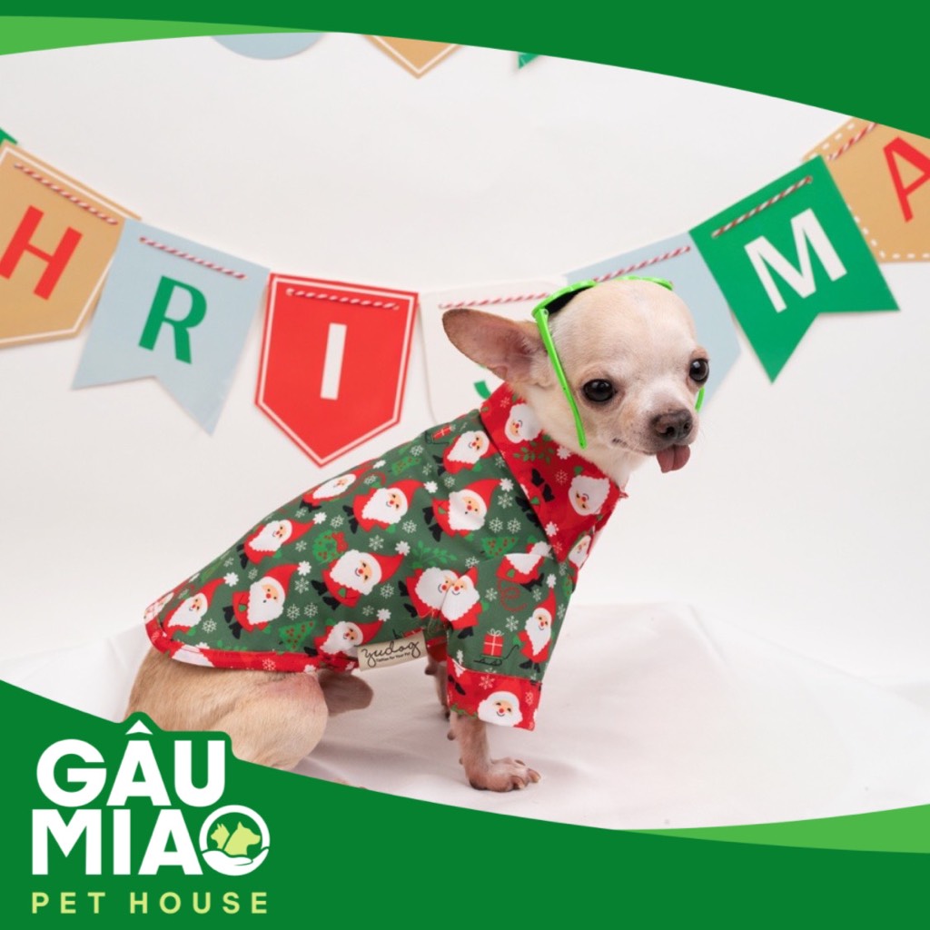 YuDog Áo sơ mi Noel - Xanh