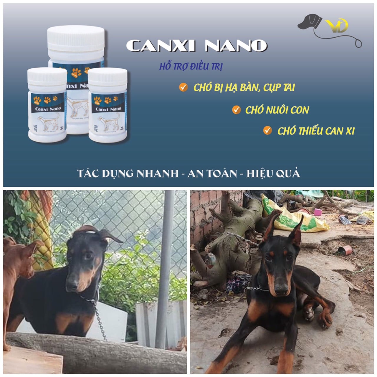 Canxi nano cho chó