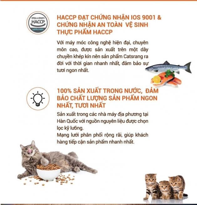 Catsrang Kitten-Thức ăn hạt cho mèo con