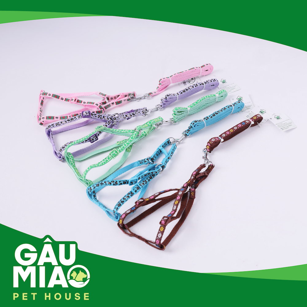 Bộ dây dắt+yếm in hình